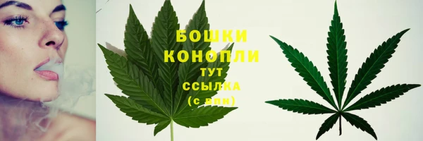 мдпв Майский