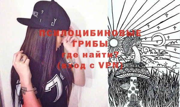 мдпв Майский
