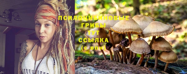 гидра Магадан