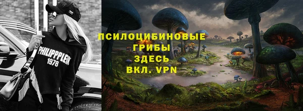 гидра Магадан
